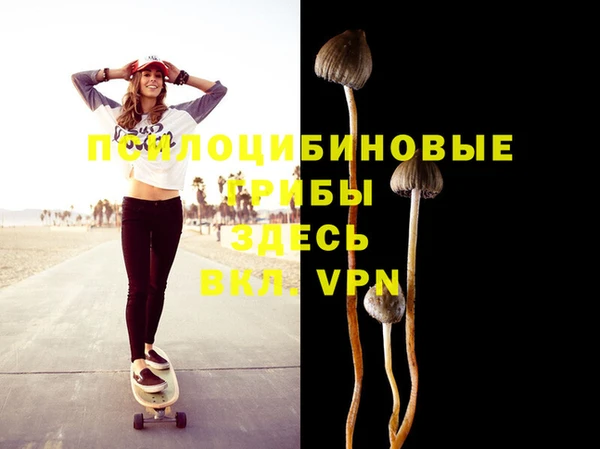 MDMA Premium VHQ Богданович