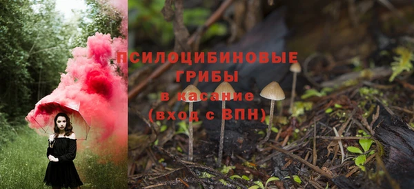 каннабис Богородицк